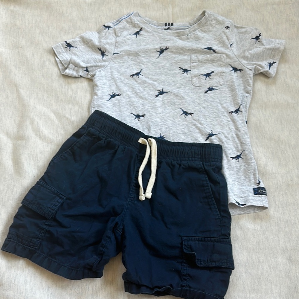 Gray Dinosaur Print T-Shirt and Navy Shorts Set